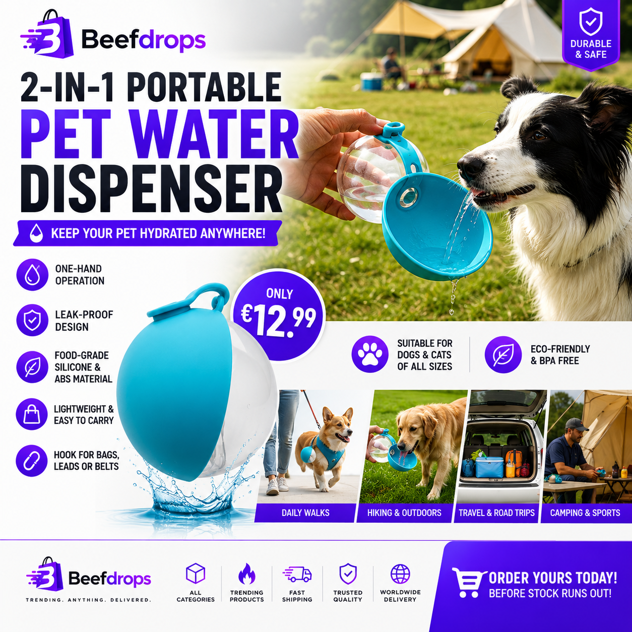 Portable water dispenser