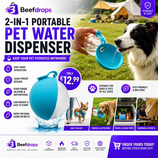Portable water dispenser